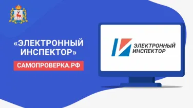 «Электронный инспектор»