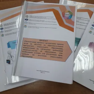 Государственное бюджетное дошкольное образовательное учреждение «Детский сад № 17 «Ручеек»